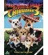 Beverly Hills Chihuahua 3 - Disney - DVD - BRUGT