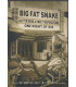 Big Fat Snake With Tcb Band & Sweet Inspirations: One Night Of Sin - DVD - BRUGT