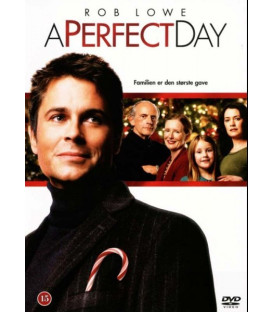 A Perfect Day - DVD - BRUGT