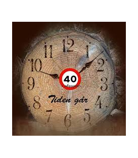 40 i skyggen - Tiden går - CD - BRUGT