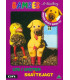 Bamses billedbog 43: Lys i lygten & skattejagt - DVD - BRUGT
