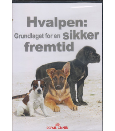 Hvalpen grundlaget for en sikker fremtid - DVD - BRUGT