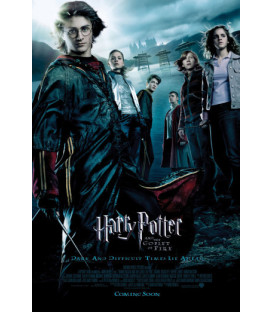 Harry Potter og Flammernes Pokal - DVD - BRUGT