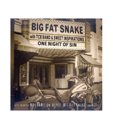 Big Fat Snake With The TCB Band & The Sweet Inspirations ‎– One Night Of Sin - CD - BRUGT