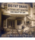Big Fat Snake With The TCB Band & The Sweet Inspirations ‎– One Night Of Sin - CD - BRUGT
