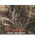 Tradish - Roots and shoots - CD - BRUGT