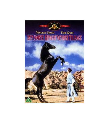 Den sorte hingst vender tilbage - DVD - BRUGT
