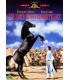 Den sorte hingst vender tilbage - DVD - BRUGT