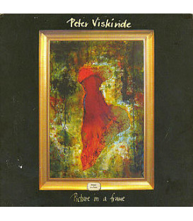PETER VISKINDE PICTURE IN A FRAME - CD+DVD - BRUGT