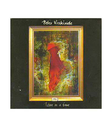 PETER VISKINDE PICTURE IN A FRAME - CD+DVD - BRUGT