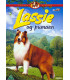Lassie og pumaen - DVD - BRUGT