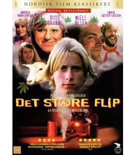 Det store flip - DVD - BRUGT