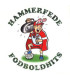 Hammerfede fodboldhits - CD - BRUGT