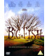 Big Fish - DVD - BRUGT