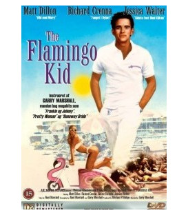 The Flamingo Kid - DVD - BRUGT