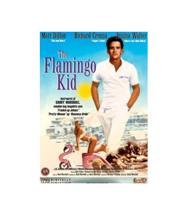 The Flamingo Kid - DVD - BRUGT