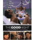 The Good Night - DVD - BRUGT