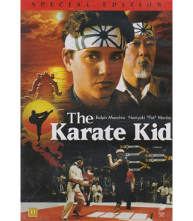 The Karate Kid - DVD - BRUGT