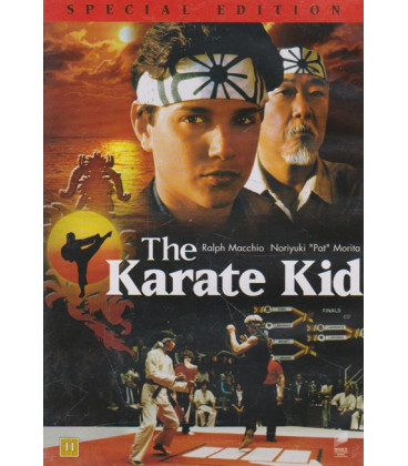 The Karate Kid - DVD - BRUGT