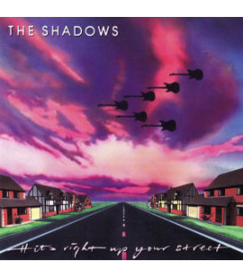 THE SHADOWS - HITS RIGHT UP YOUR STREET - CD - BRUGT