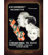 7-9-13 - DVD - BRUGT