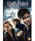 Harry Potter Og Dødsregalierne: Del 1 - DVD - BRUGT