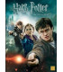 Harry Potter Og Dødsregalierne: Del 2 - DVD - BRUGT
