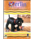 Merlin 05 - Den Magiske Hundehvalp - DVD - BRUGT