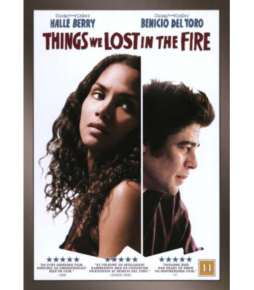 Things We Lost In The Fire - DVD - BRUGT