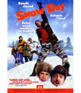 Snow Day - DVD - BRUGT