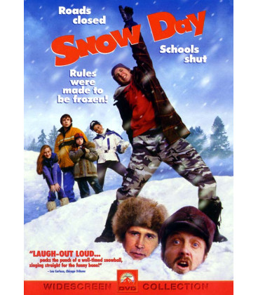 Snow Day - DVD - BRUGT