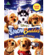 Snow Buddies: Hvalpene i Alaska - DVD - BRUGT