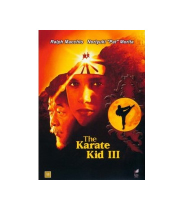 The Karate Kid 3 - DVD - BRUGT