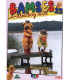 Bamses Billedbog 23: Farlig Sejltur & Fiskedag - DVD - BRUGT