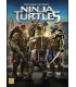 Teenage Mutant Ninja Turtles - DVD - BRUGT