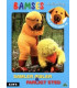 Bamses Billedbog 37 - Samler Æbler & Farligt sted - DVD - BRUGT