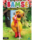 Bamses billedbog: Bamse holder fødselsdag  DVD - NY
