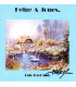 Helge A. Jones - Luk lyset ind - CD - BRUGT