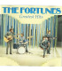 The Fortunes – Greatest Hits - CD - BRUGT
