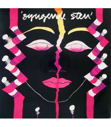 Syngende Sten – Syngende Sten - CD - BRUGT