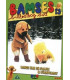 Bamses Billedbog 13: Bamse Har En Fløjte + Svampejagt - DVD - BRUGT