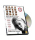 Dogville - DVD - BRUGT
